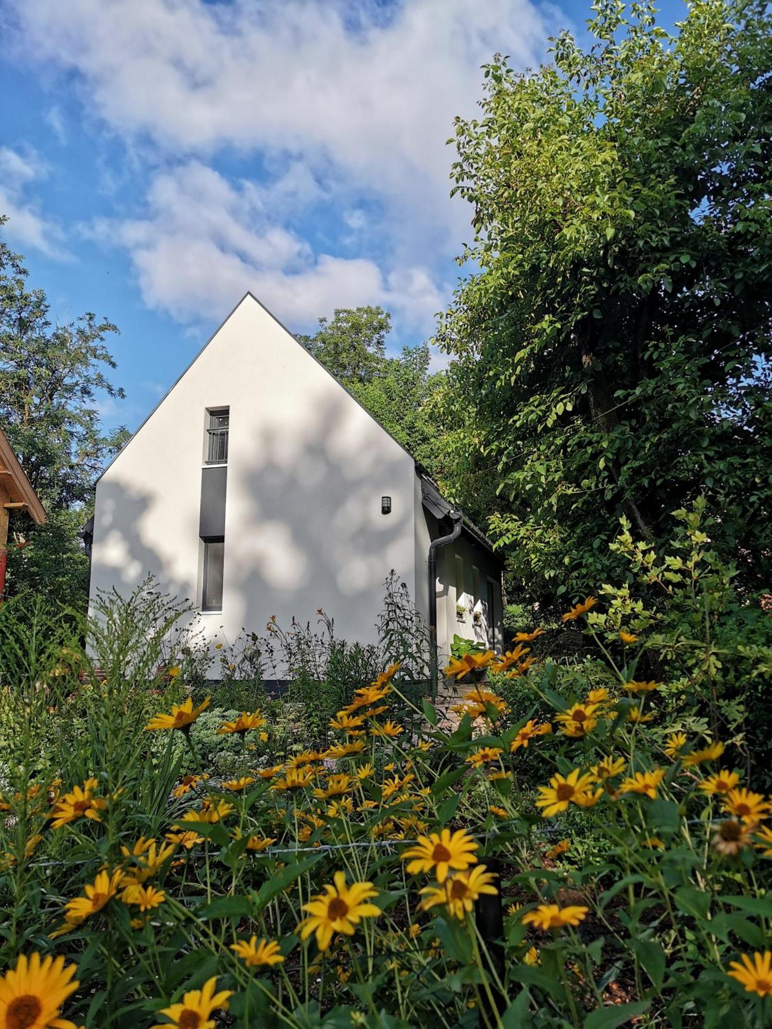 Voelgy25 Villa Zebegény Eksteriør bilde